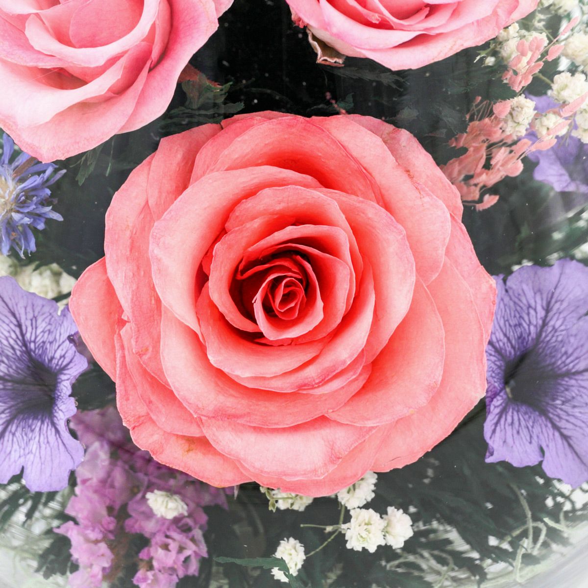  ローズ ミエル[151] ボトルフラワー