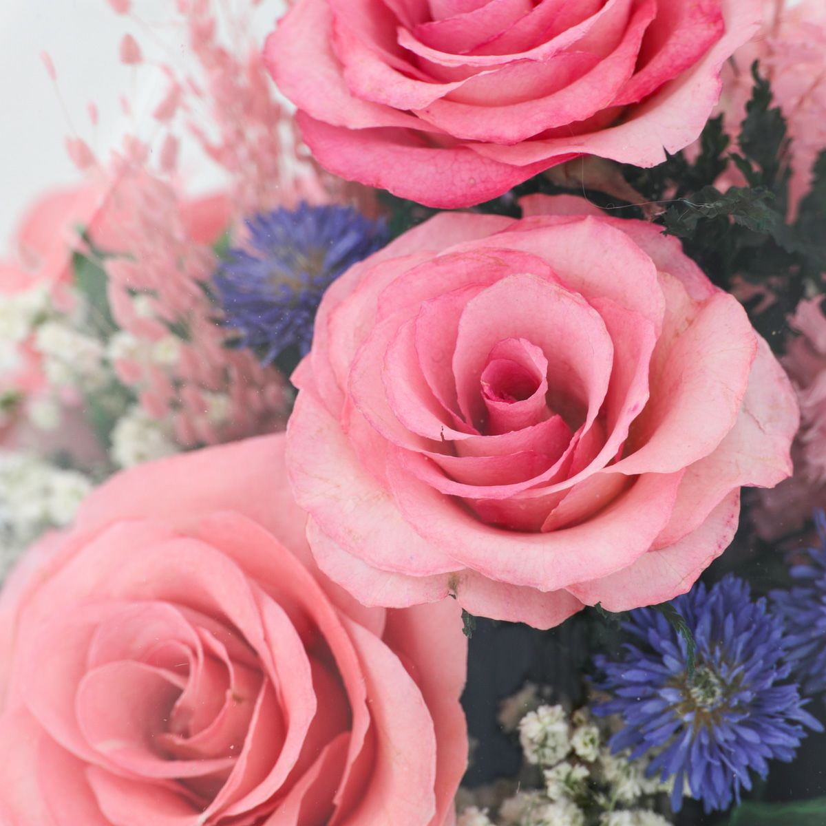 ローズ ミエル[153] ボトルフラワー