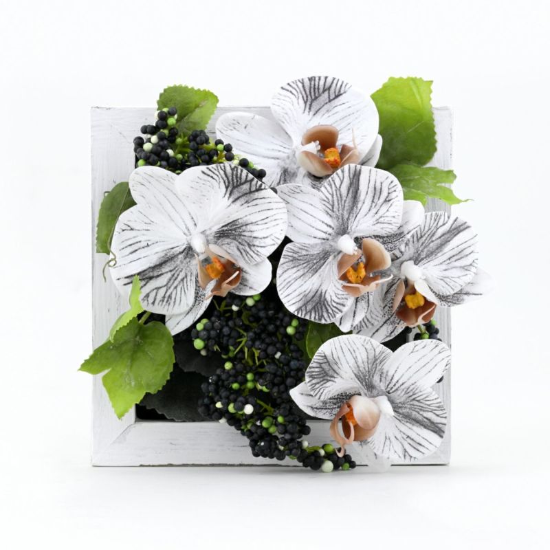 胡蝶蘭 ミニフレーム [WEB546]