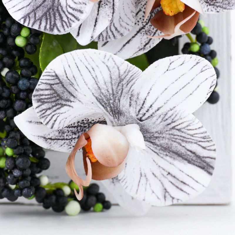 胡蝶蘭 ミニフレーム [WEB546]