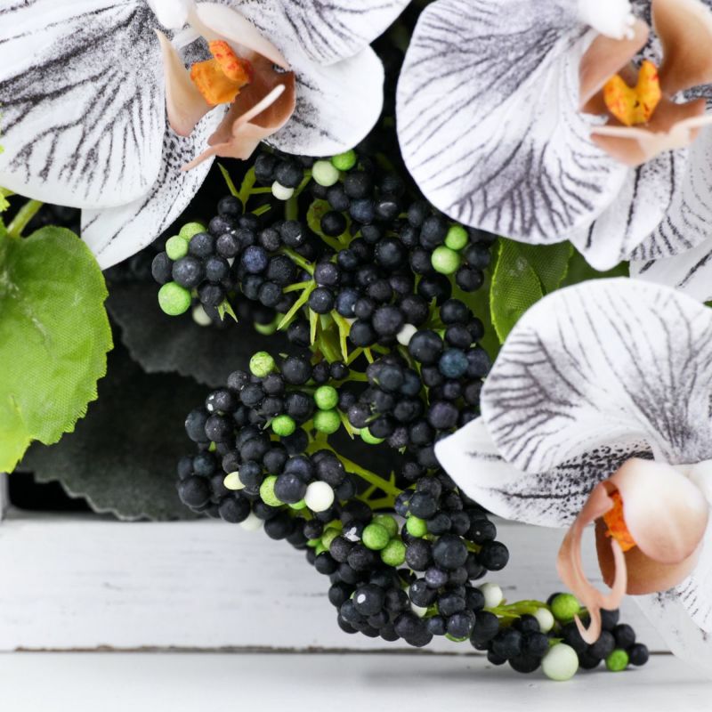 胡蝶蘭 ミニフレーム [WEB546]