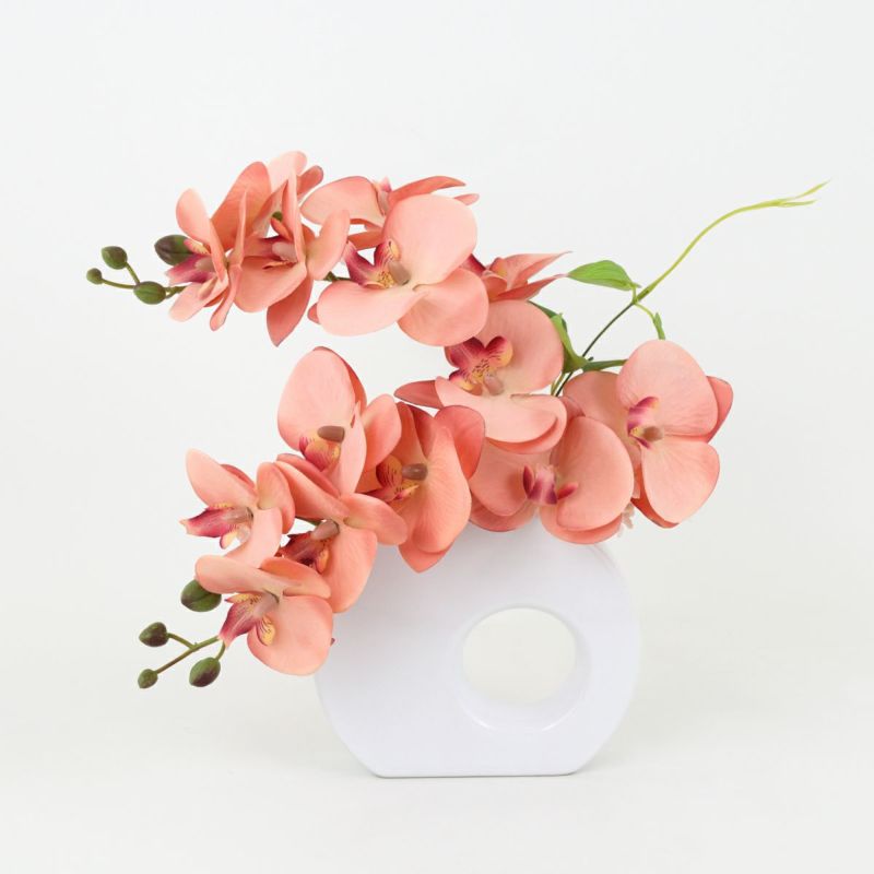 胡蝶蘭 アレンジメント [08]