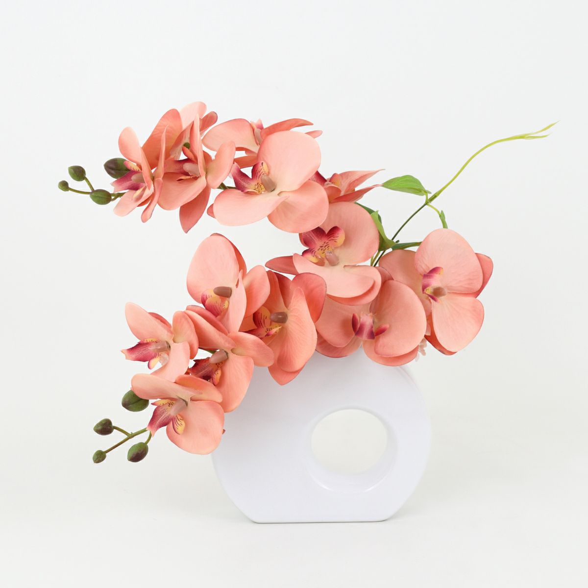 胡蝶蘭 アレンジメント [08]