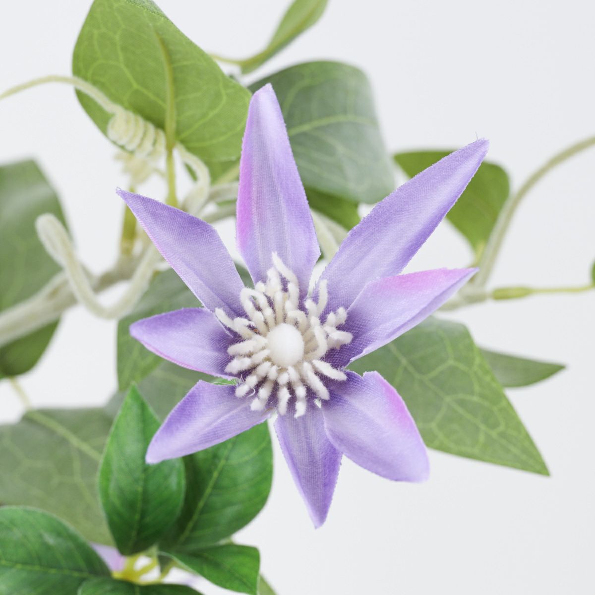 クレマチス アレンジメント [SM-141]