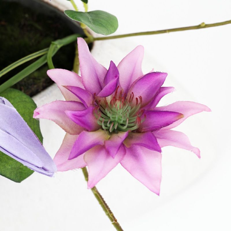 クレマチス アレンジメント [SM-141]