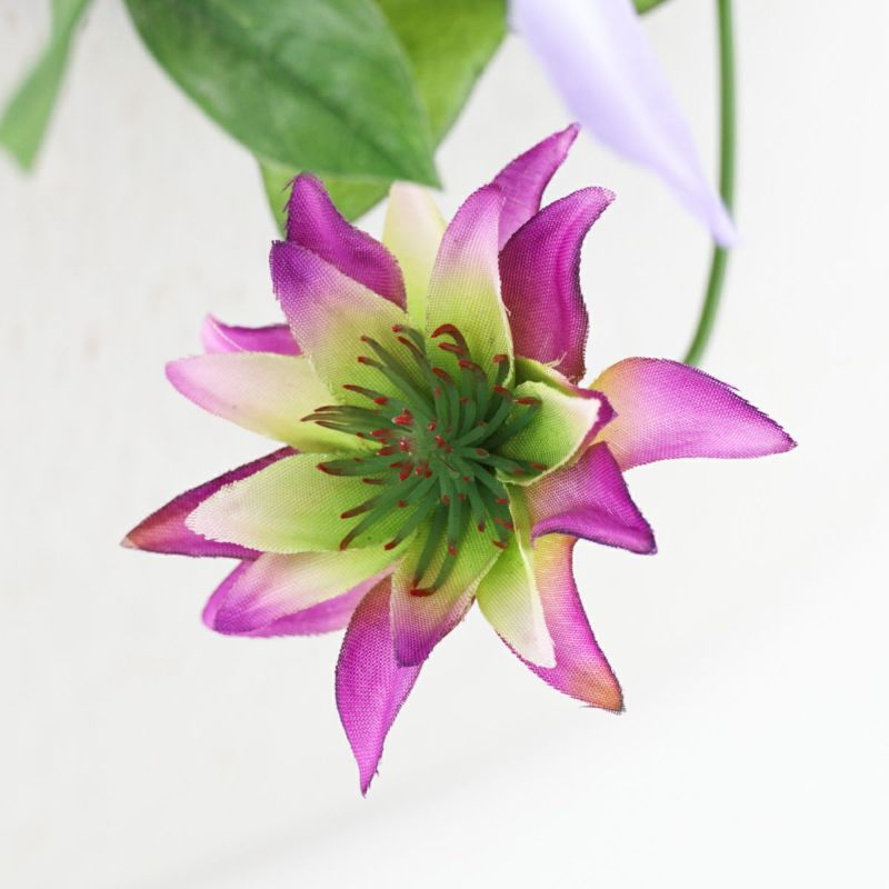 クレマチス アレンジメント [SM-141]