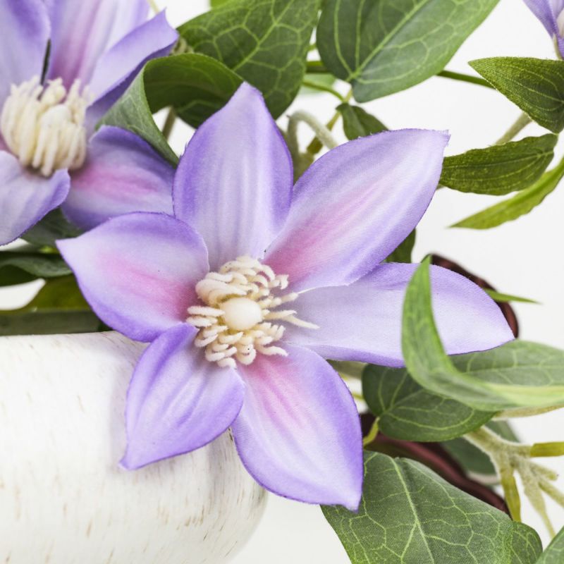 クレマチス アレンジメント [SM-144]