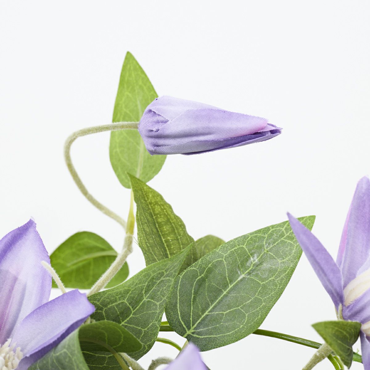 クレマチス アレンジメント [SM-144]