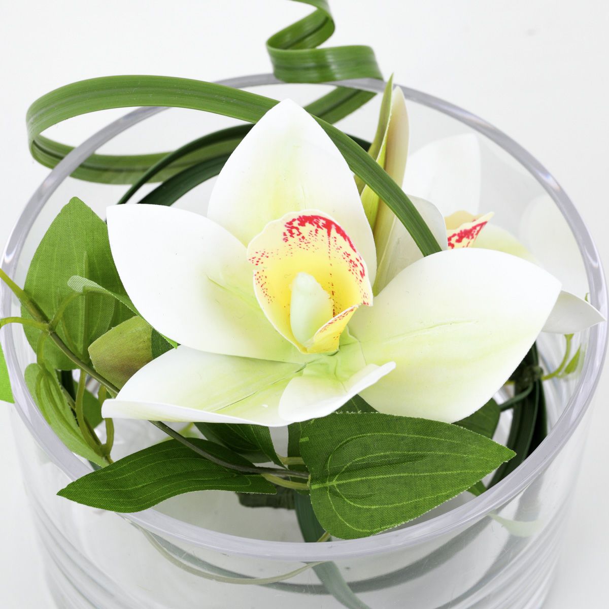 シンビジューム アレンジメント [08]