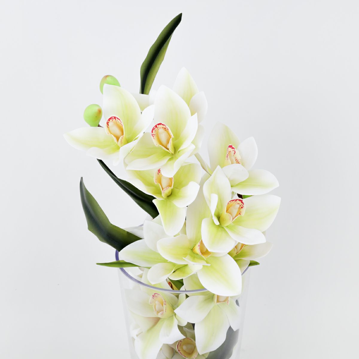 シンビジューム アレンジメント [09]