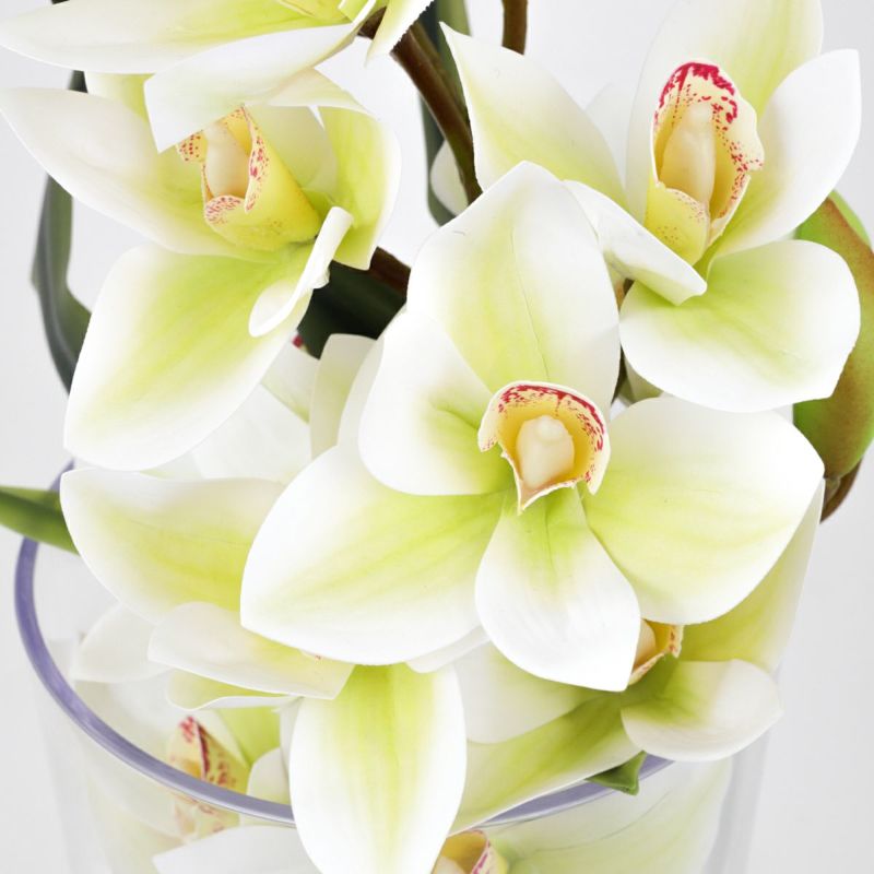 シンビジューム アレンジメント [09]