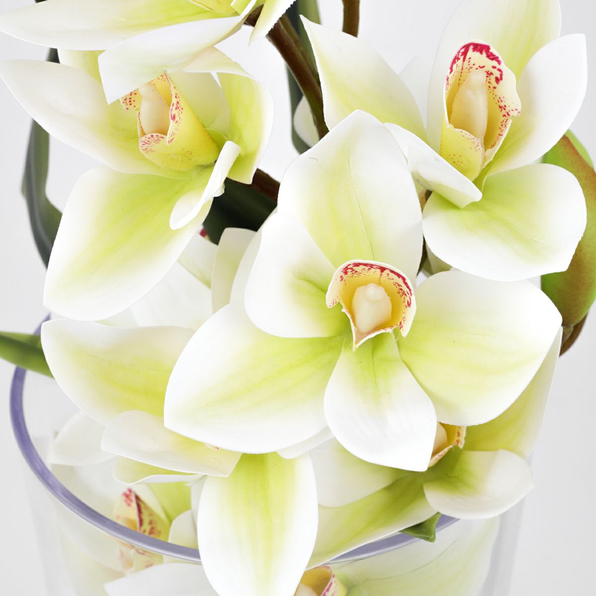 シンビジューム アレンジメント [09]