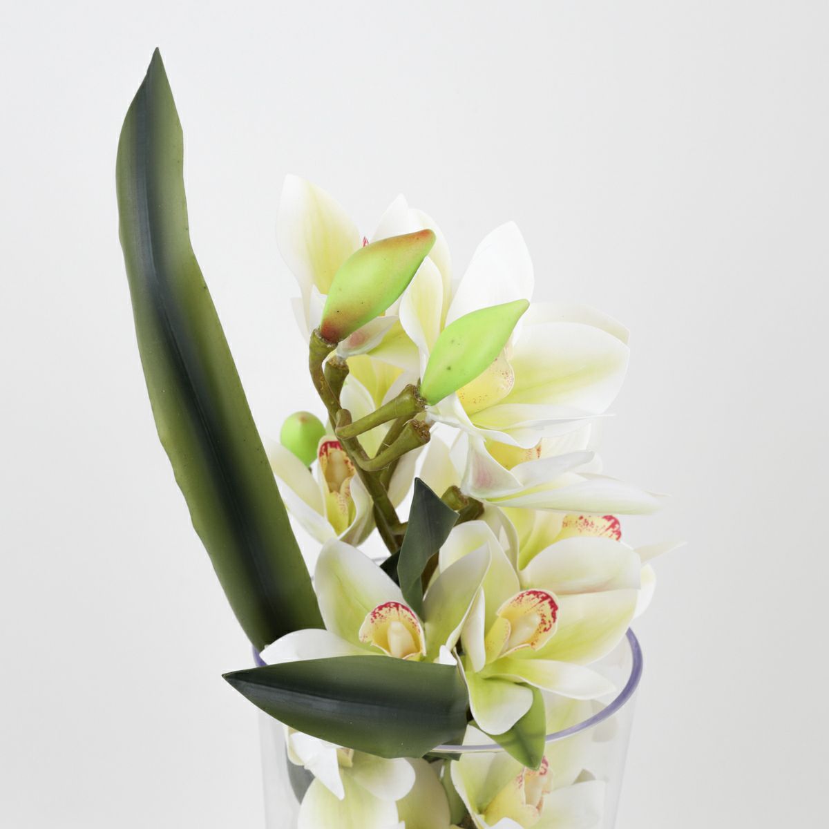 シンビジューム アレンジメント [09]