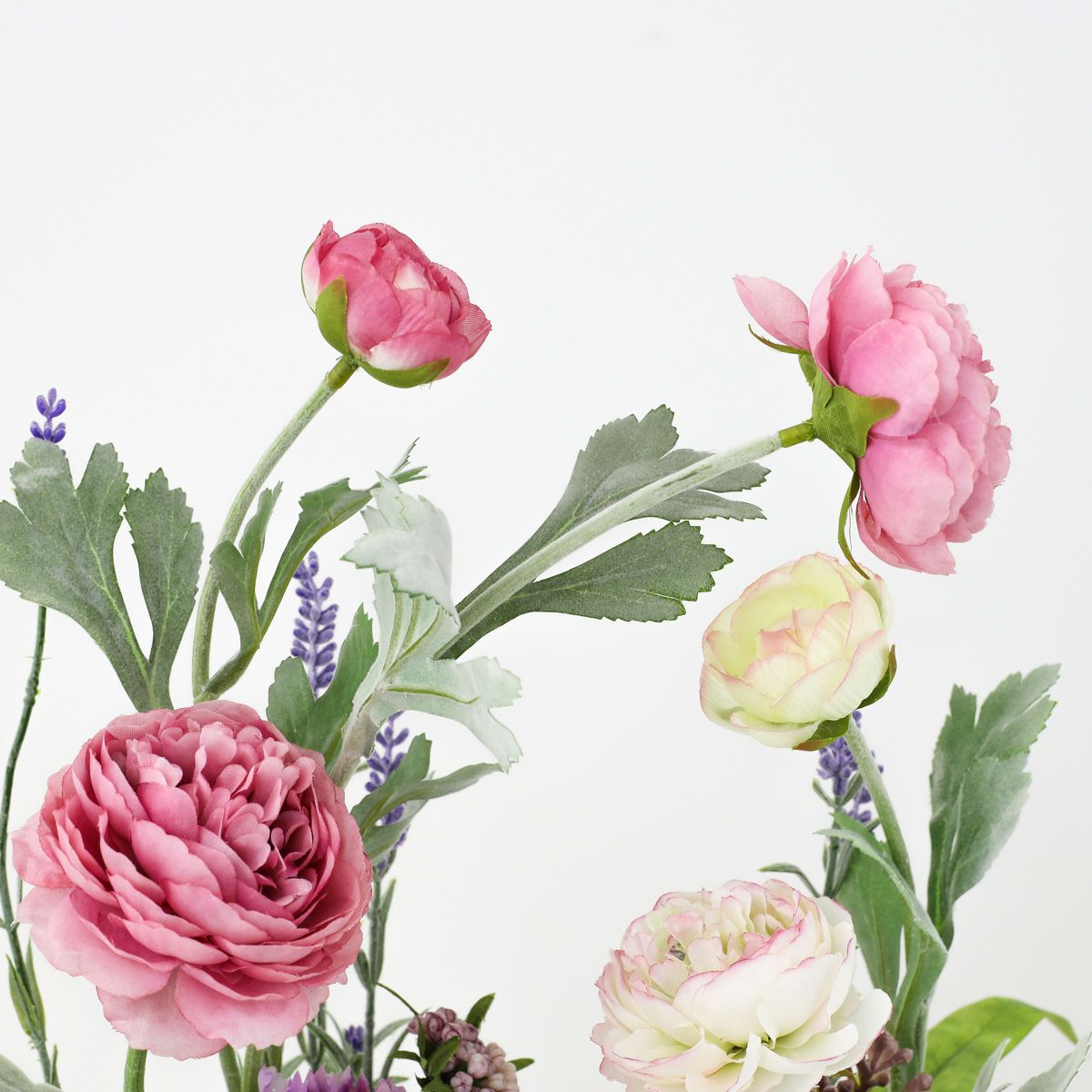 ラナンキュラス アレンジメント [24PK/LA01A]