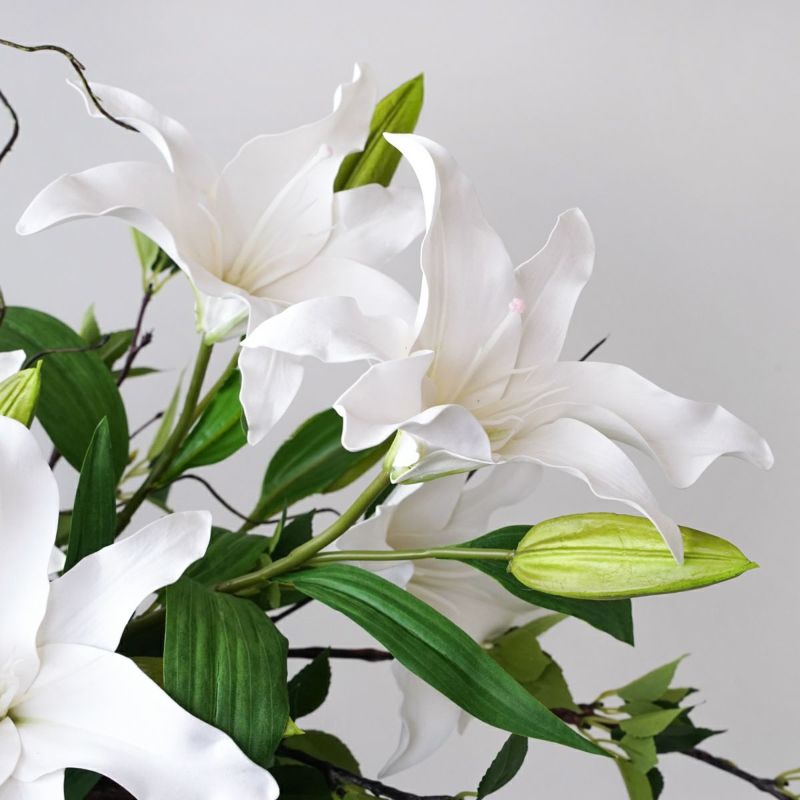 カサブランカリリー アレンジメント [P-11B]