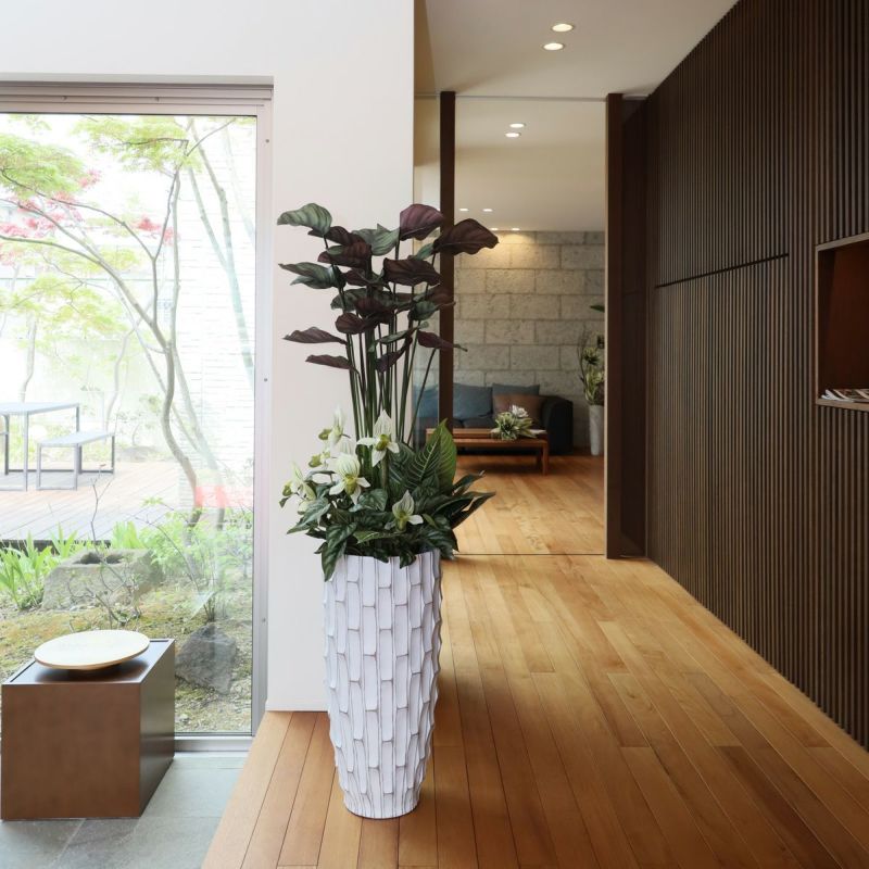 寄せ植え カラテア フェイクグリーン [P-21]