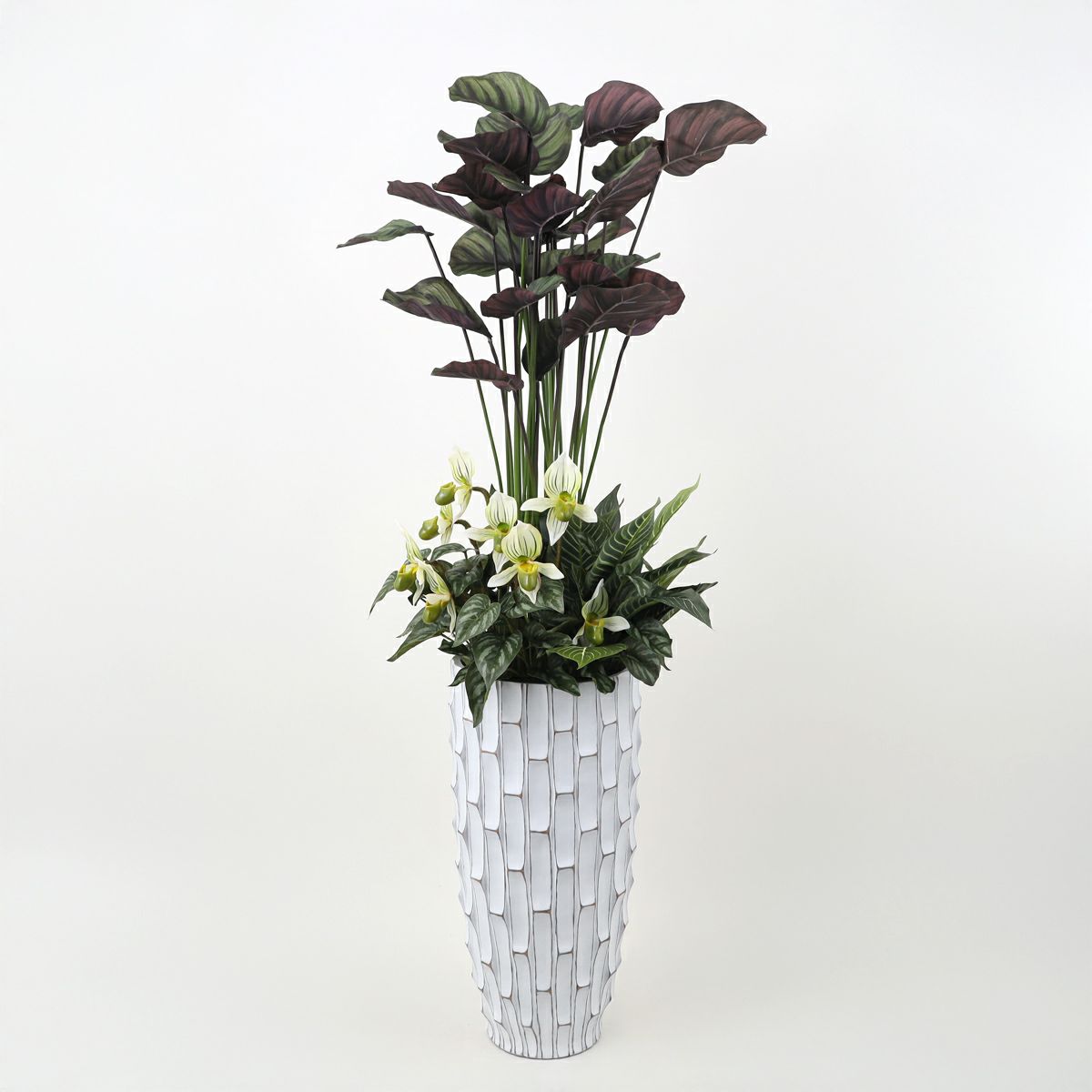 寄せ植え カラテア フェイクグリーン [P-21]