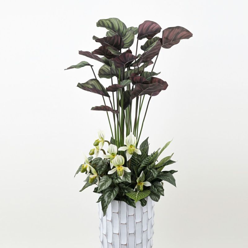 寄せ植え カラテア フェイクグリーン [P-21]