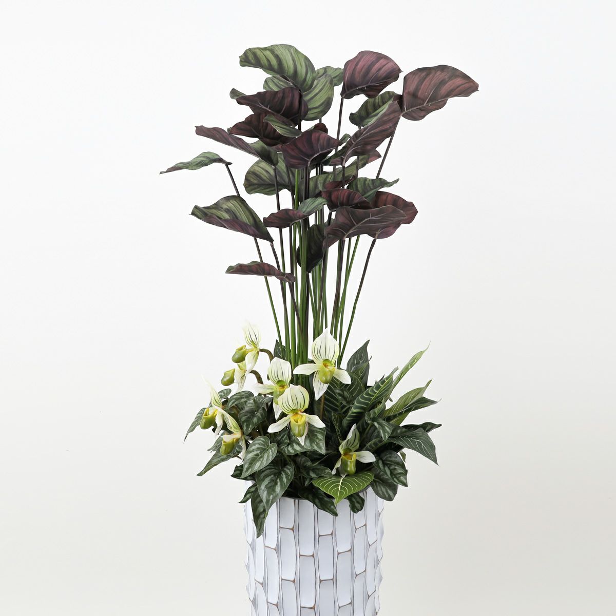 寄せ植え カラテア フェイクグリーン [P-21]