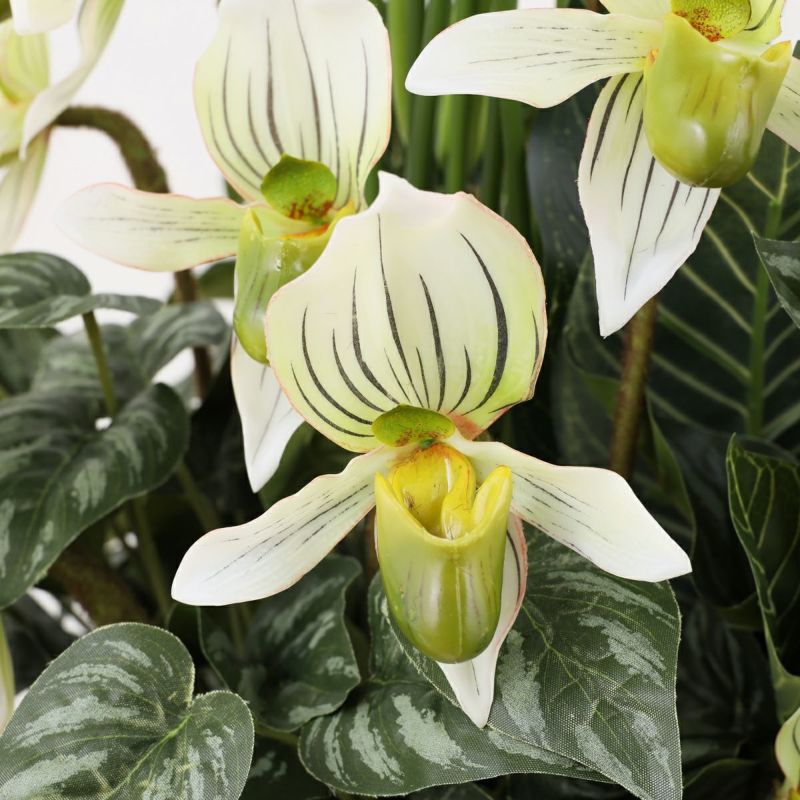 寄せ植え カラテア フェイクグリーン [P-21]