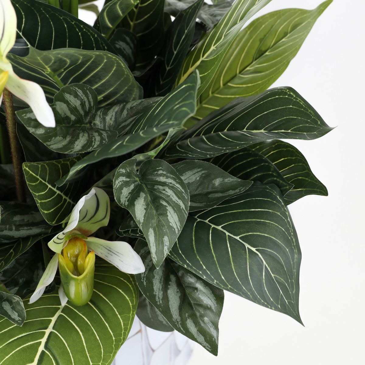 寄せ植え カラテア フェイクグリーン [P-21]