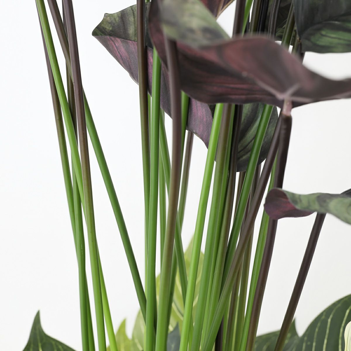 寄せ植え カラテア フェイクグリーン [P-21]