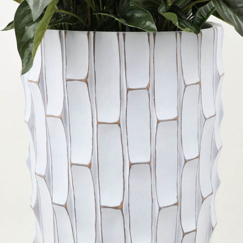 寄せ植え カラテア フェイクグリーン [P-21]