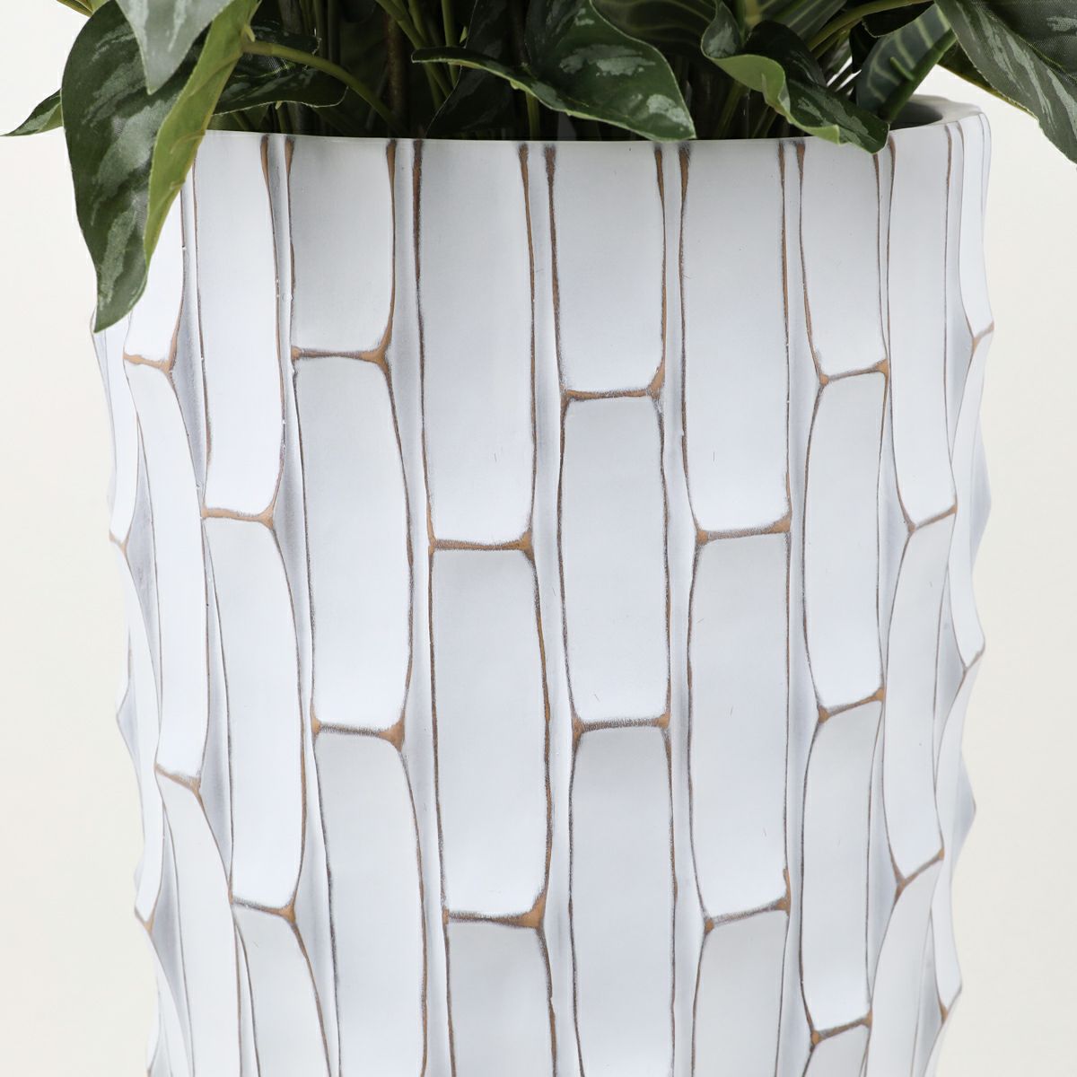 寄せ植え カラテア フェイクグリーン [P-21]