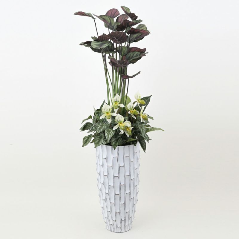 寄せ植え カラテア フェイクグリーン [P-21]