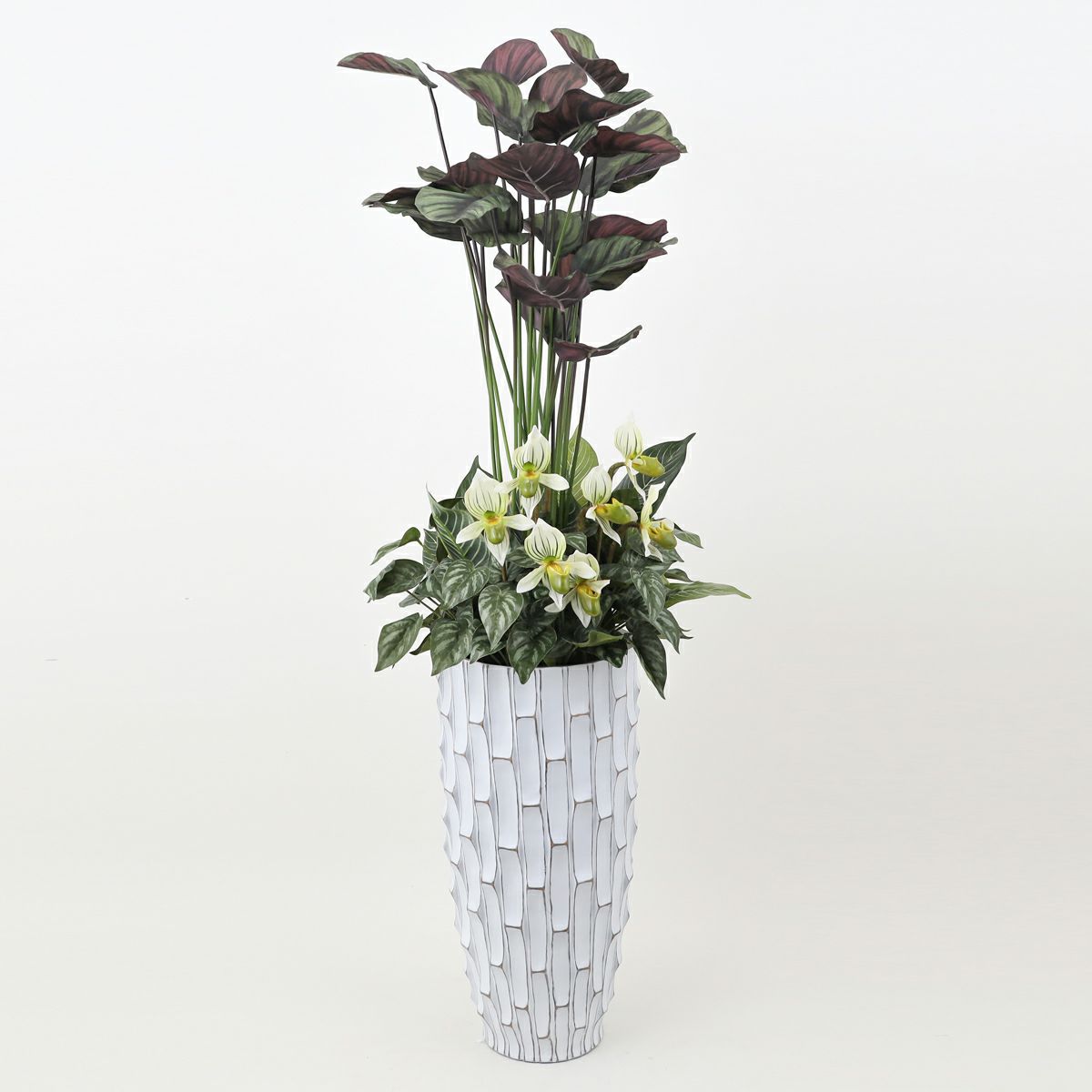 寄せ植え カラテア フェイクグリーン [P-21]