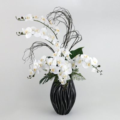 ファレノプシス(胡蝶蘭) | パレフローラ公式通販｜アーティフィシャル