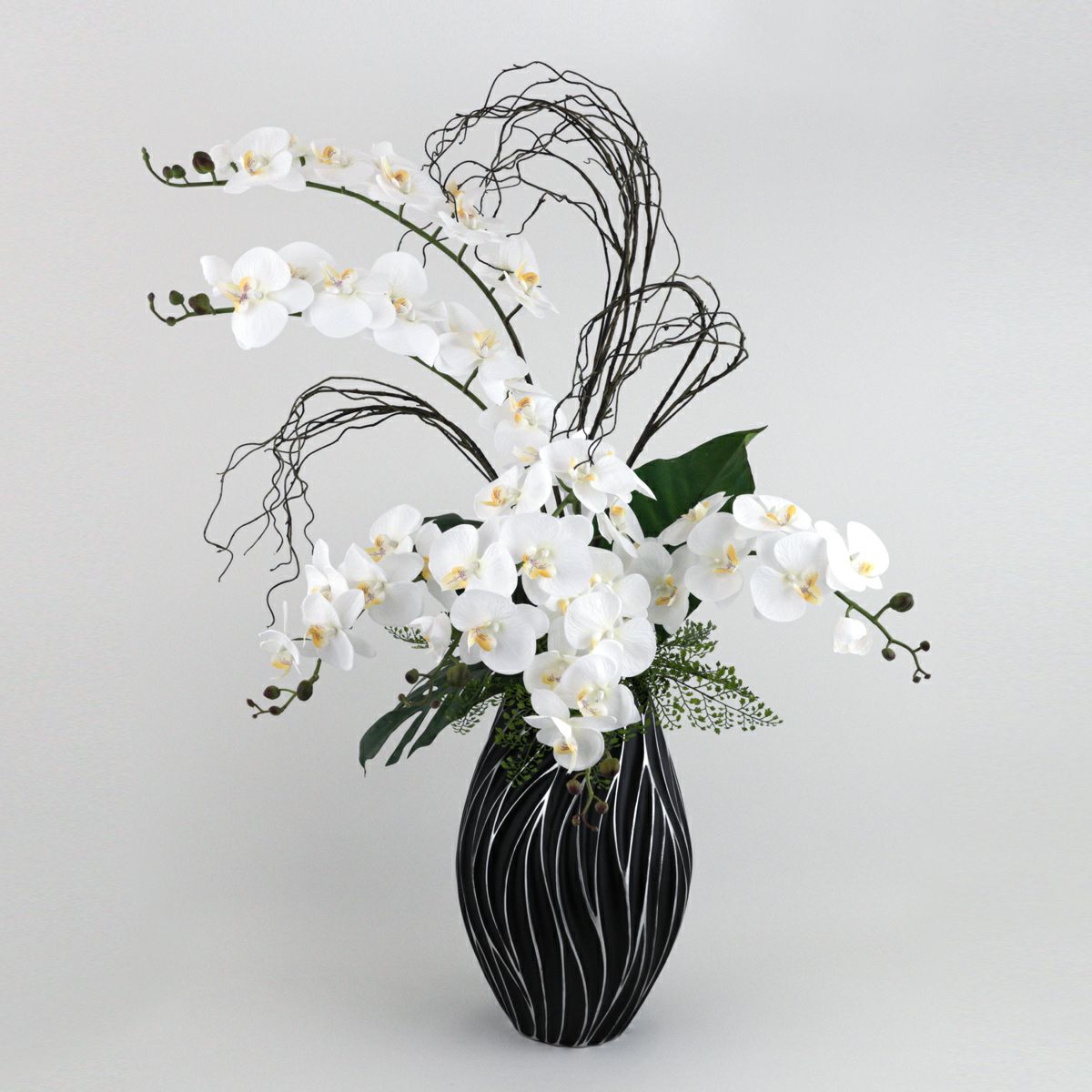 ファレノプシス アレンジメント [79E]