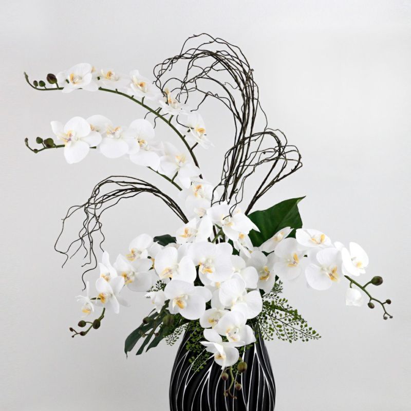 ファレノプシス アレンジメント [79E]