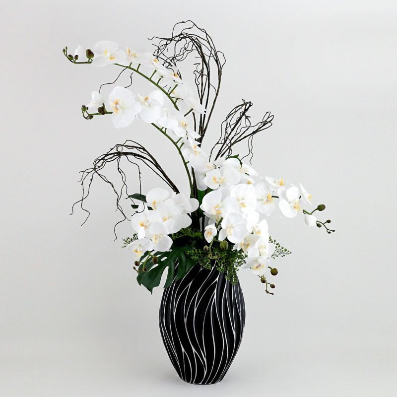 ファレノプシス アレンジメント [79E]