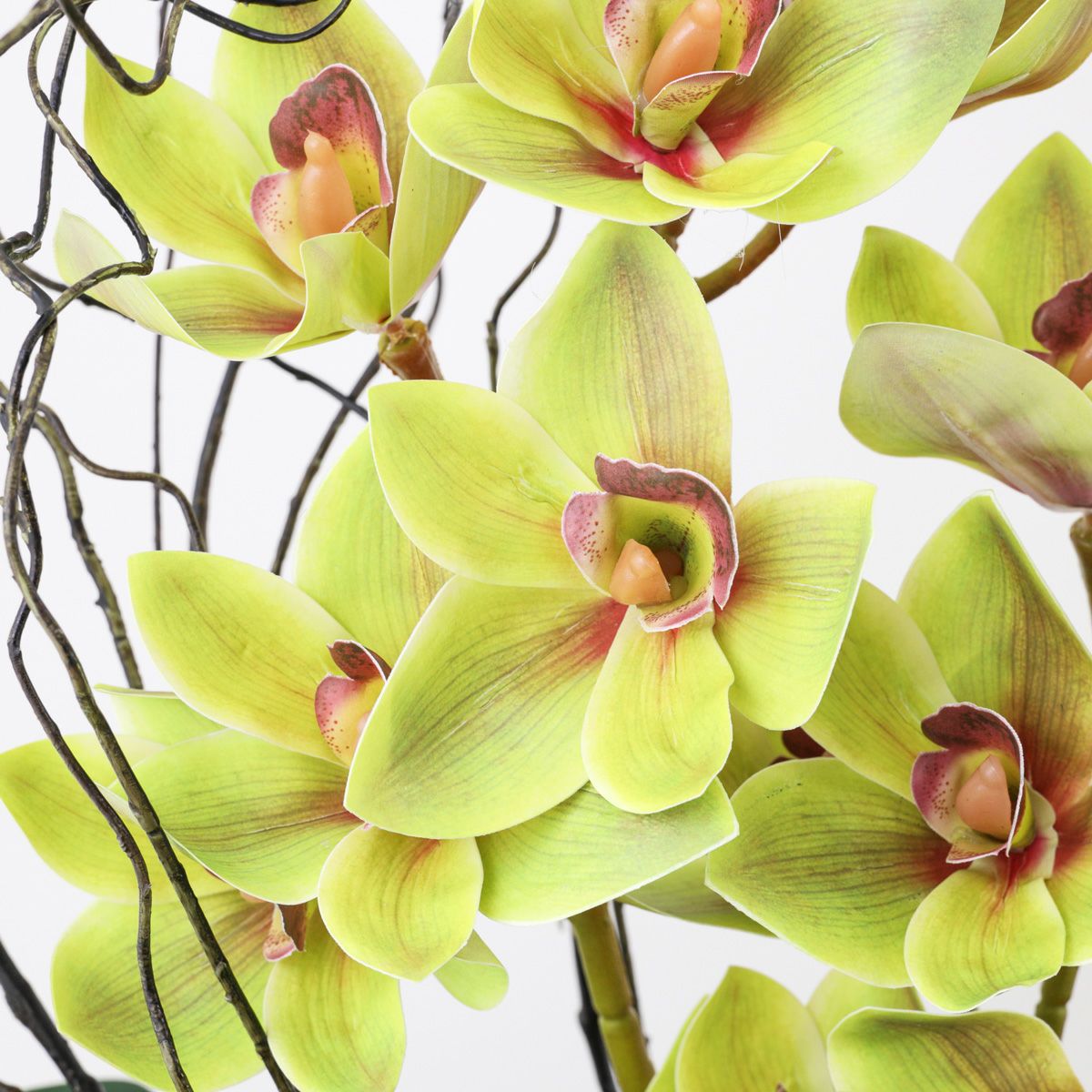 シンビジューム アレンジメント [136]