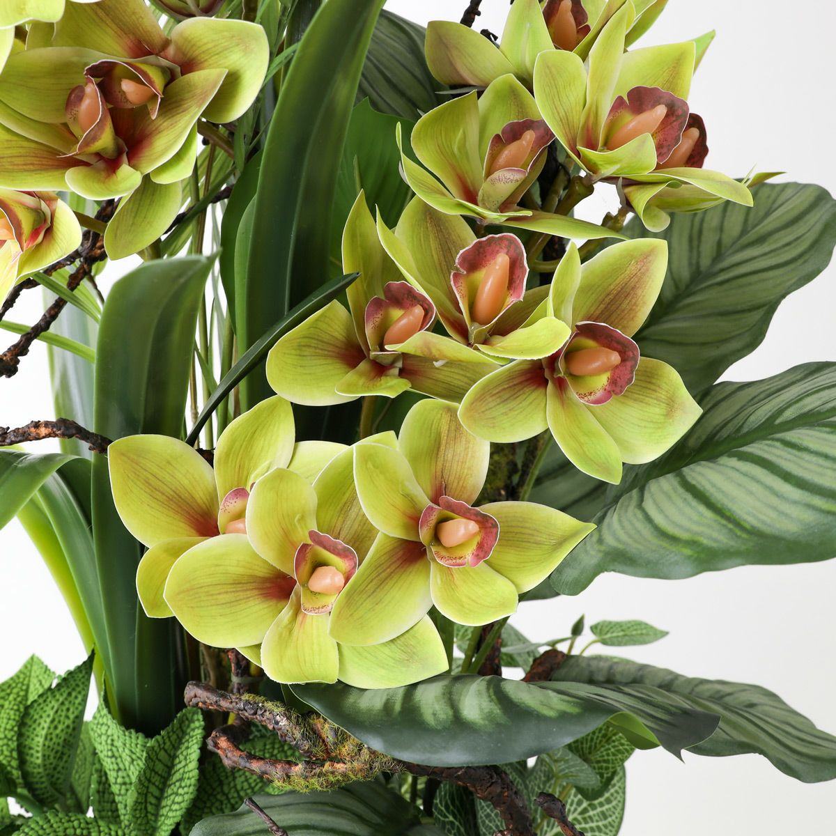 シンビジューム アレンジメント [137A]