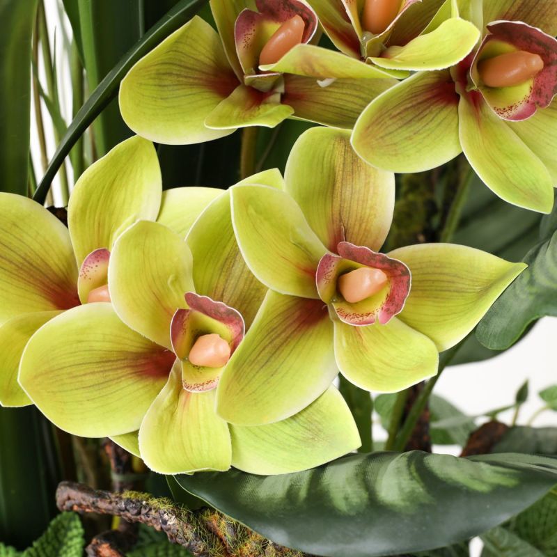 シンビジューム アレンジメント [137A]