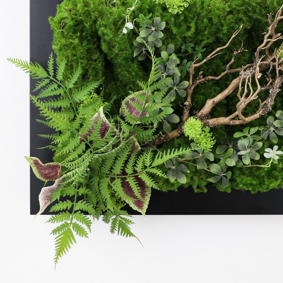 フェイクグリーン フレーム [139]