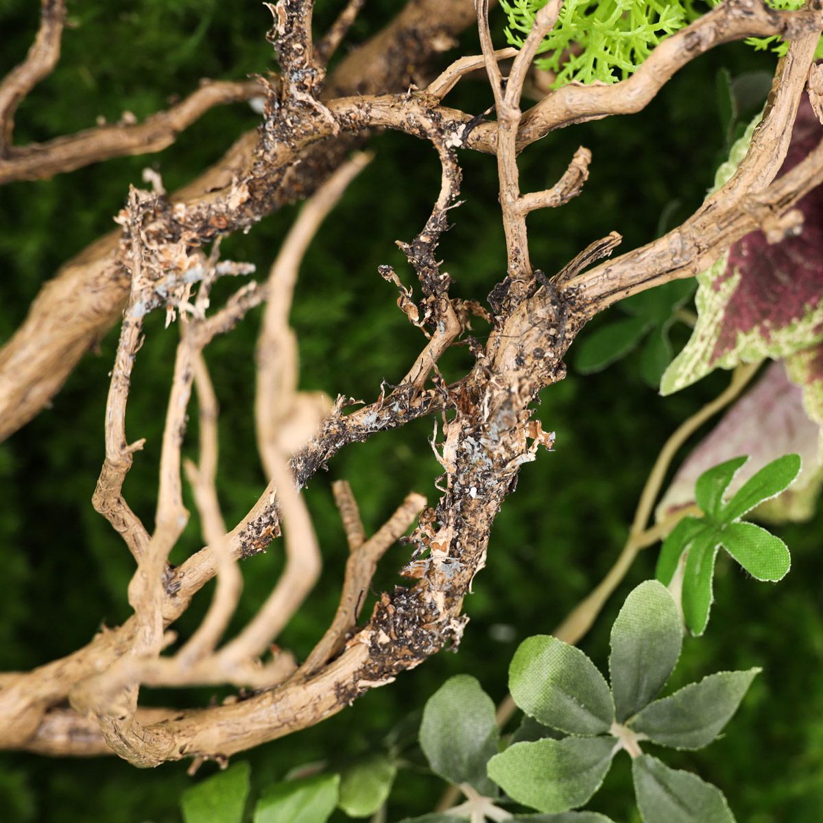 フェイクグリーン フレーム [139]