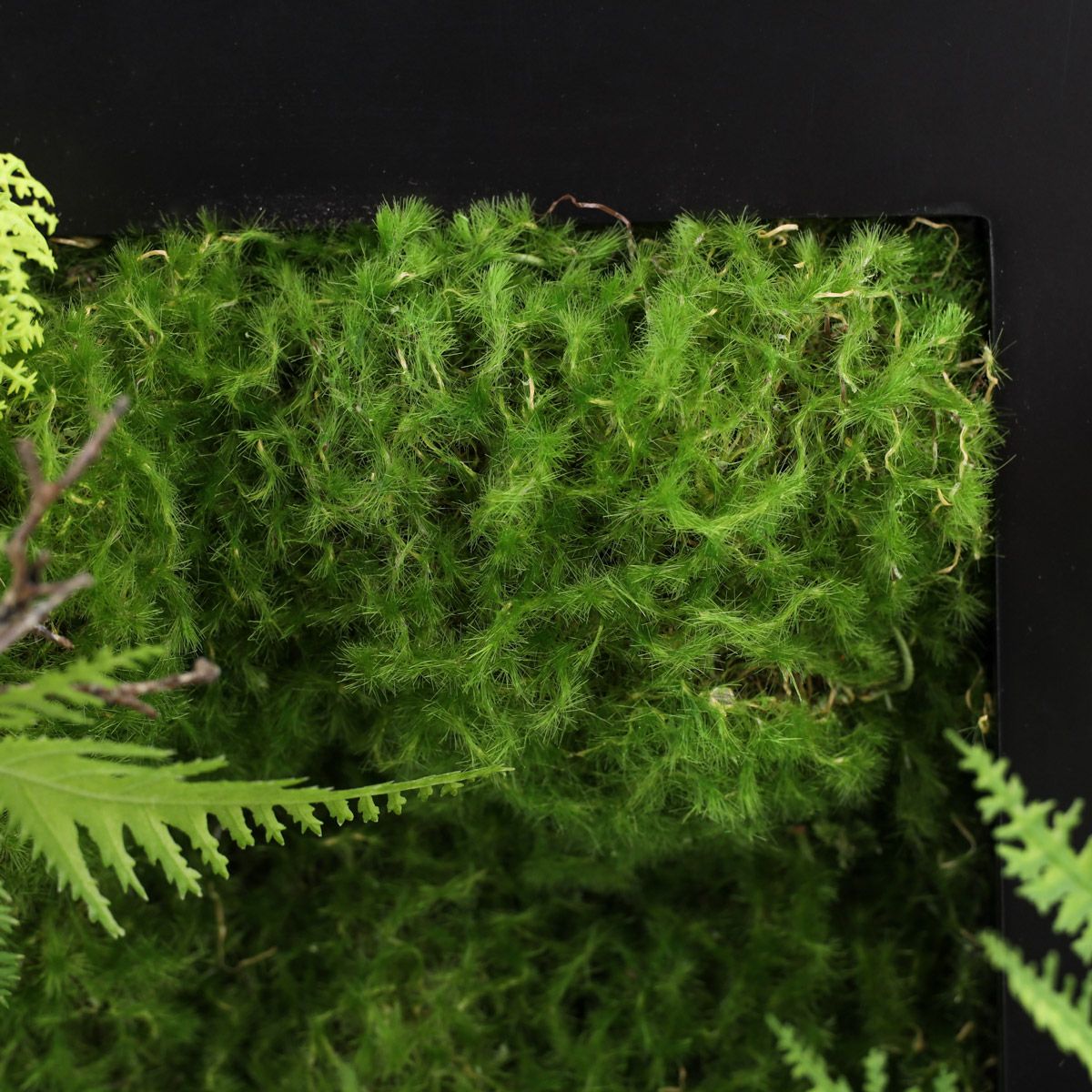 フェイクグリーン フレーム [140] 