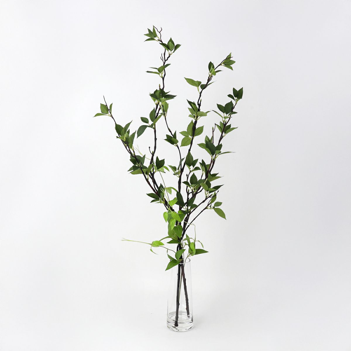 グリーン アレンジメント [141]