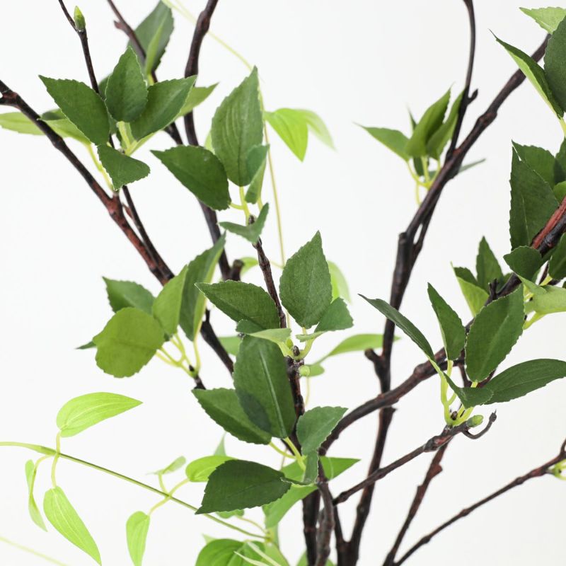 グリーン アレンジメント [141]