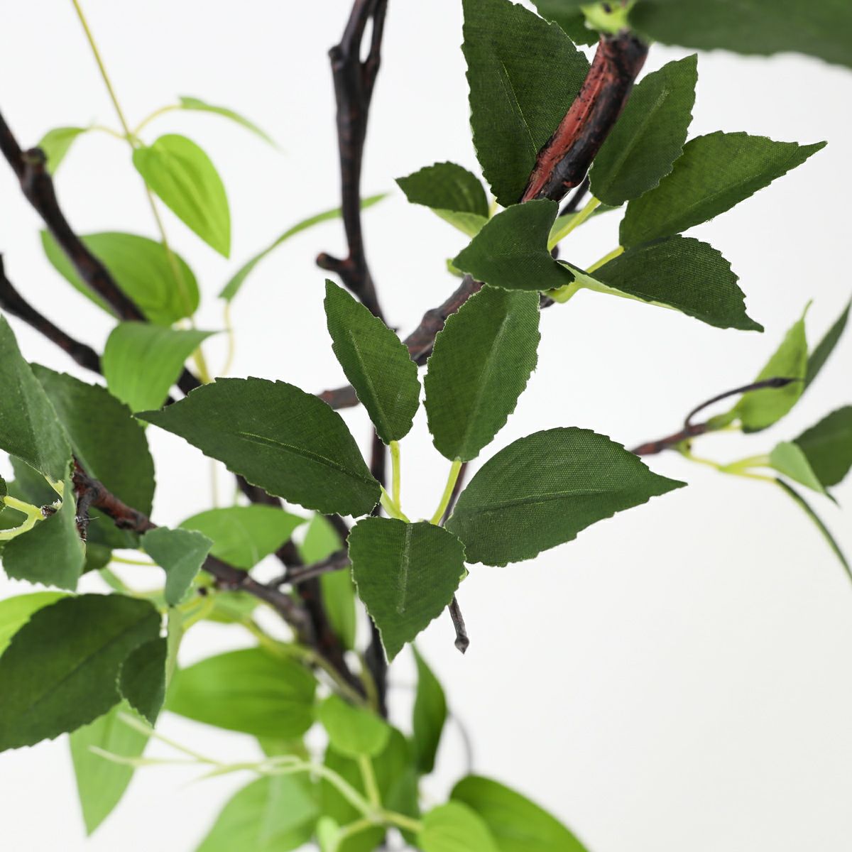 グリーン アレンジメント [141]