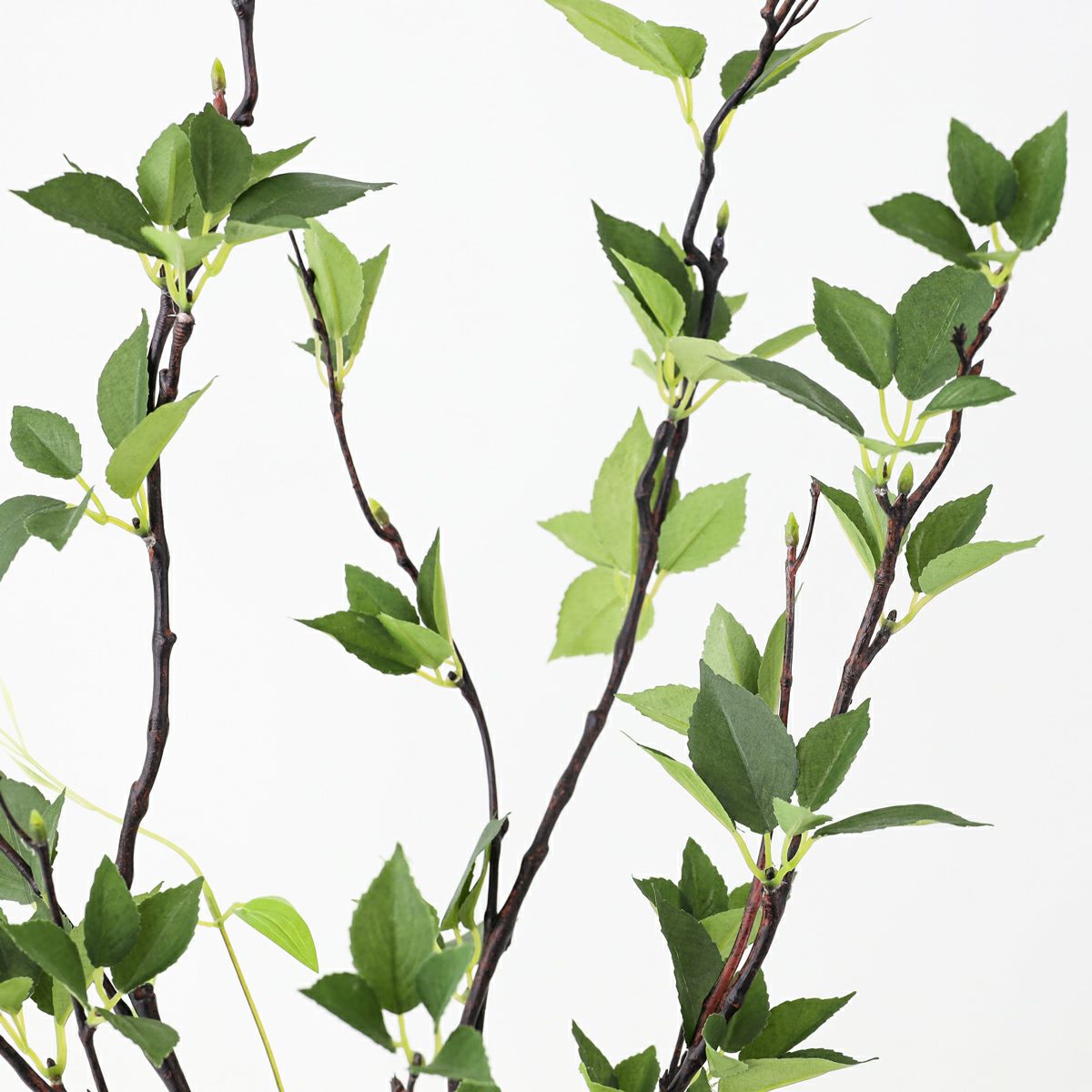 グリーン アレンジメント [141]