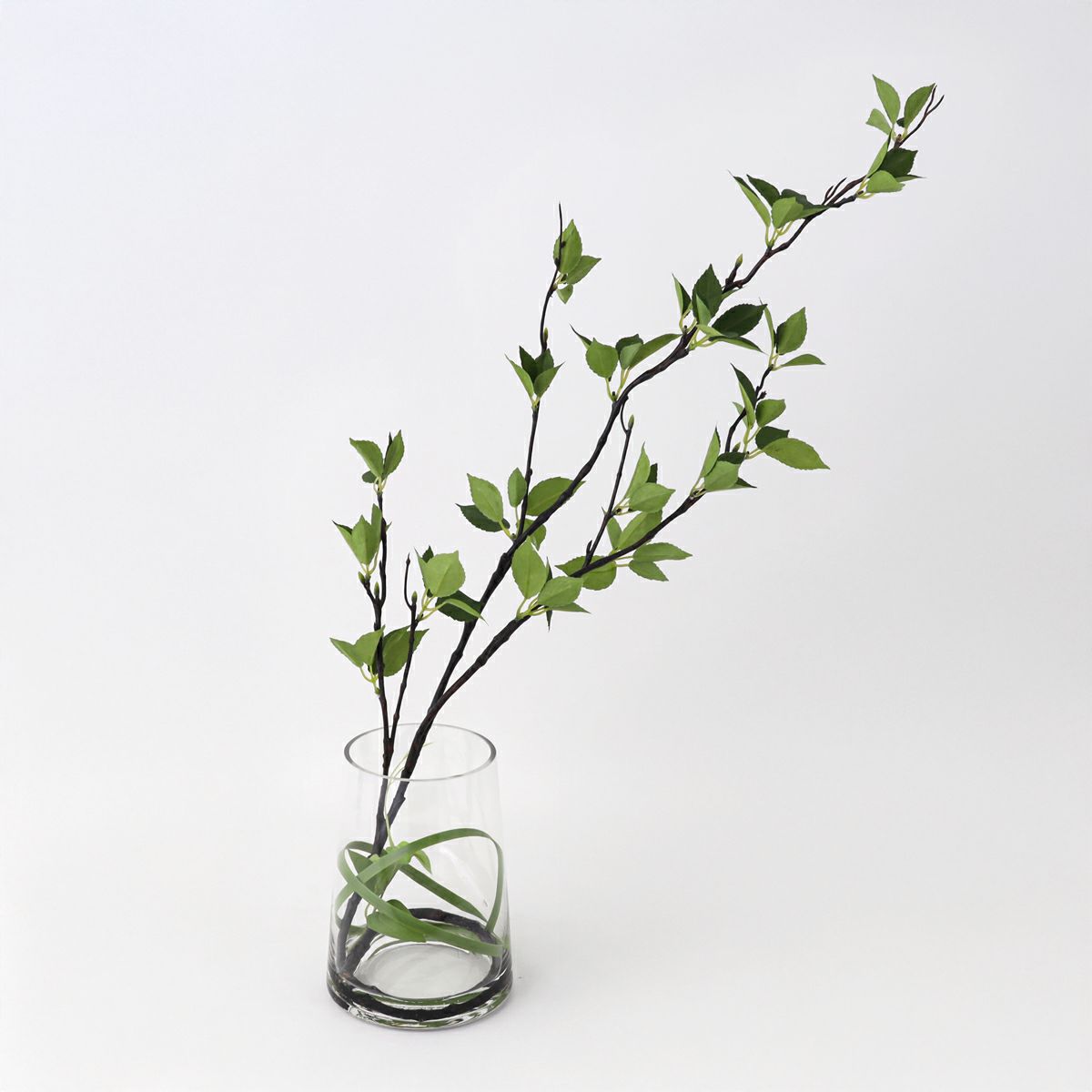 グリーン アレンジメント [142]