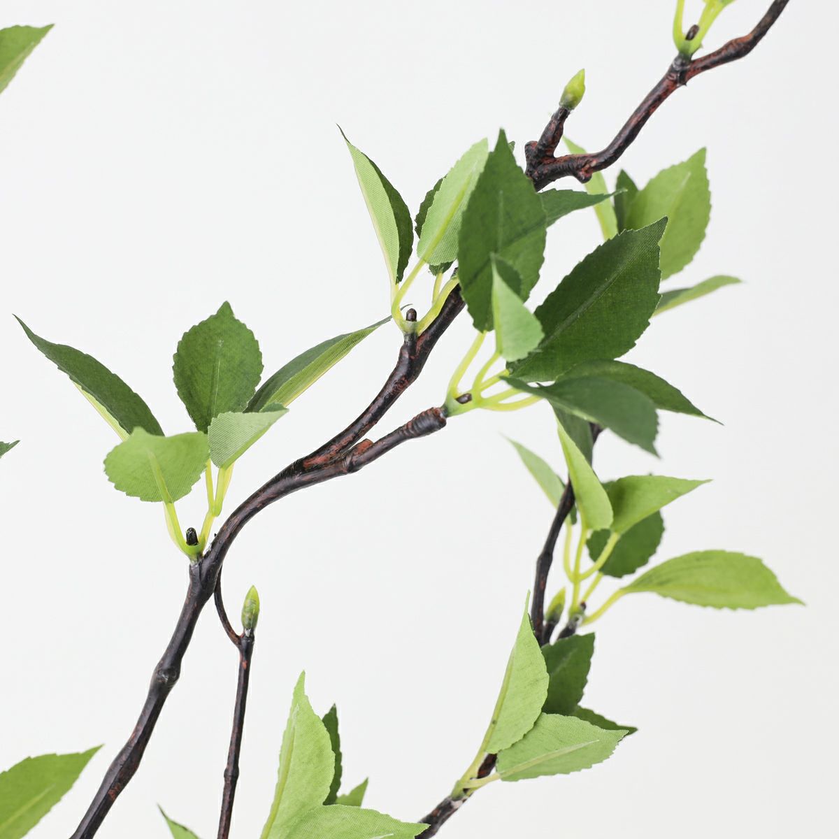 グリーン アレンジメント [142]