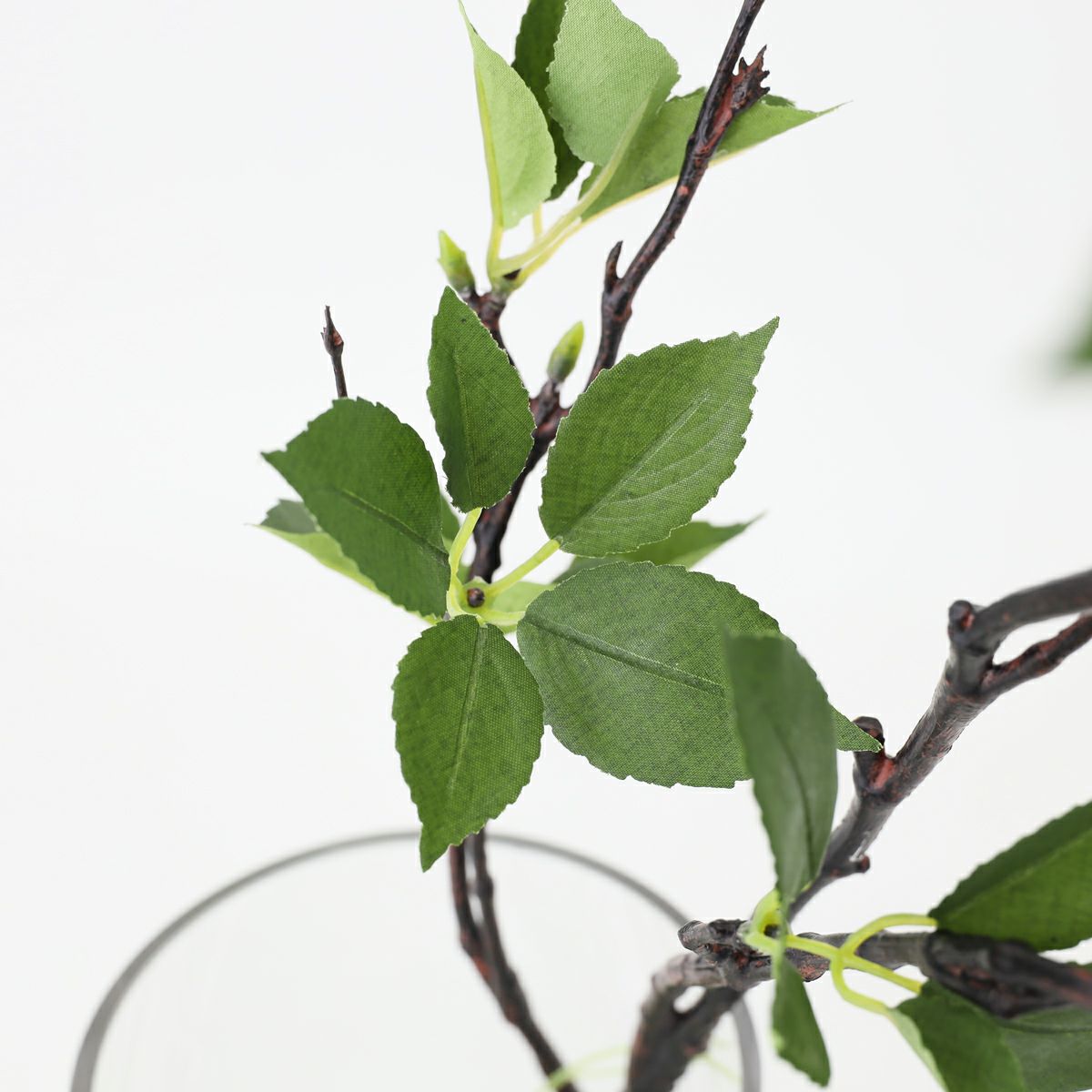 グリーン アレンジメント [142]