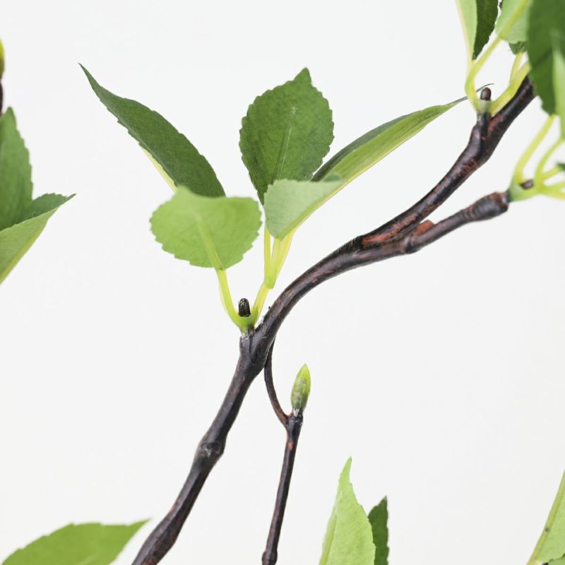 グリーン アレンジメント [142]