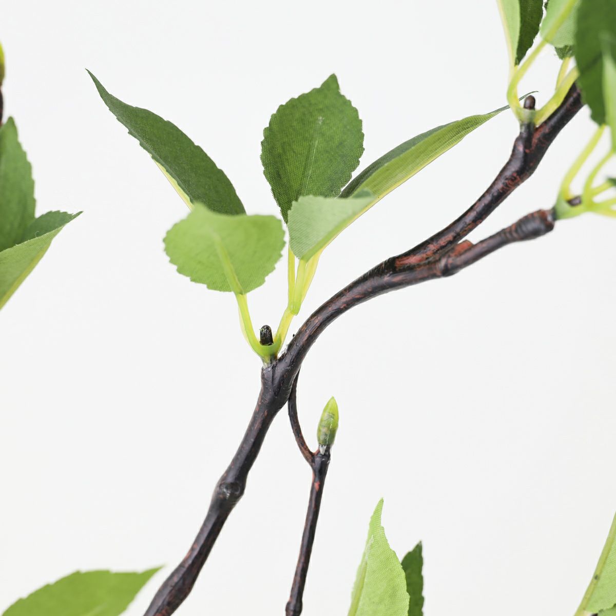 グリーン アレンジメント [142]