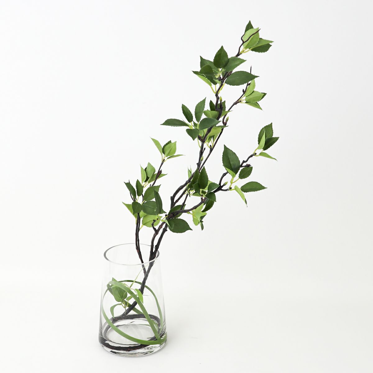 グリーン アレンジメント [142]